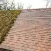 Moss on the roof? No more with profession removing